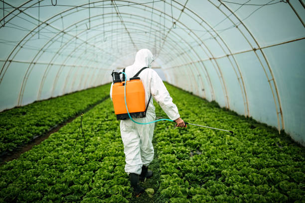 Best Pest Control Near Me in Keansburg, NJ