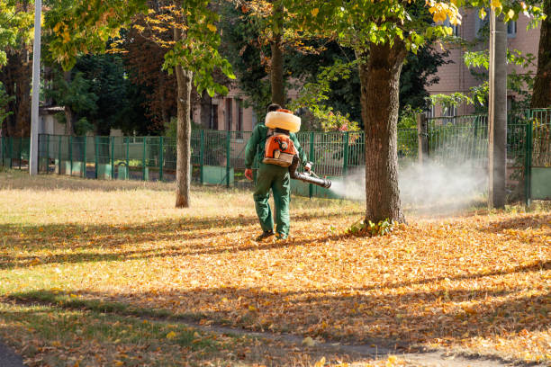 Best Exterminator Services  in Keansburg, NJ